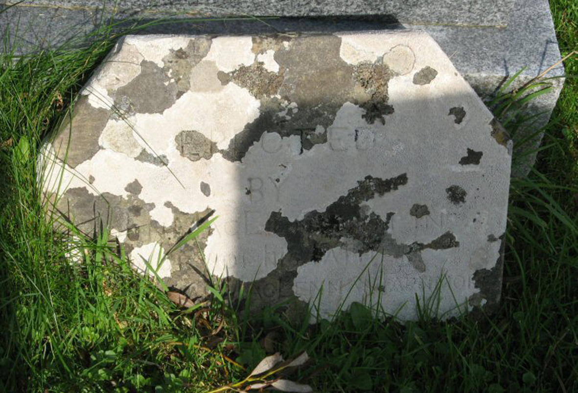 Photo of headstones/Farquhar MacLennan died 1866 MI Applecross